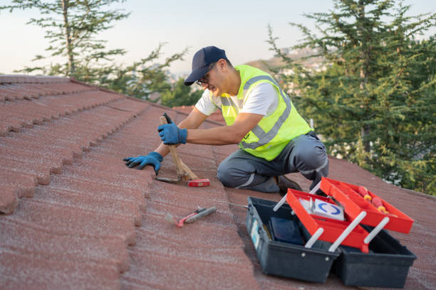 Best Roof Maintenance Services  in Berly, MO